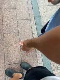 市川團十郎白猿『とりあえず三越いこか』