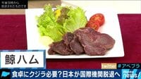AbemaPrime - 企画 - 食卓にクジラは必要?日本が国際機関脱退へ(18/12/21) | 動画視聴は【Abemaビデオ(AbemaTV)】