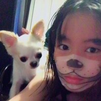 広瀬すず、愛犬ぱーぷーとそっくり?2ショットを披露 お茶目な姿にファン絶賛