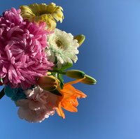 ジャングル叫女『5月23日』