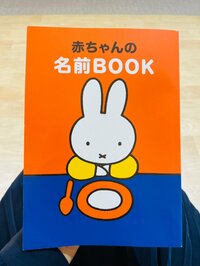 だいたひかる『夫と意見が合わない名前』