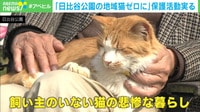 【映像】地域ネコをゼロに 保護活動実る