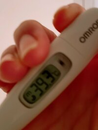 細川直美『おはようございます』