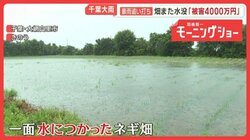 記録的大雨　関東・東北直撃　千葉豪雨被災地に追い打ち　畑また水没「被害4000万円」