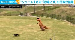 イヌを追いかけ回す“恐竜”!? シュール過ぎる追いかけっこが話題