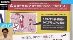 客室乗務員の7割が盗撮被害者？ 撮影罪施行の背景に“法の抜け道の犠牲者”有り