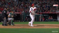 思わず曇る大谷翔平の顔 3打席連続三振に球場のファンもどよめき＆ブーイング「今日バットに当たらんな」「たまには休んだら？」と心配も