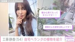 工藤静香（54）、自宅ベランダで育てている植物を紹介「静香さんも植物も美しいです！」など反響