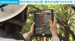 倒木相次ぐ砧公園 樹木の点検でAIも分析