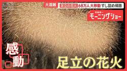 足立の花火3年ぶり開催　祈る“想い”…夜空を彩る大輪の花　悪天候で2年連続中止も