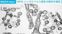 WHO ハンタウイルス感染 6例目を確認