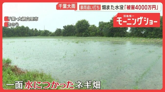 記録的大雨　関東・東北直撃　千葉豪雨被災地に追い打ち　畑また水没「被害4000万円」 1枚目