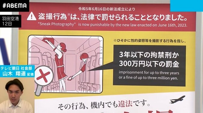 客室乗務員の7割が盗撮被害者？ 撮影罪施行の背景に“法の抜け道の犠牲者”有り 1枚目