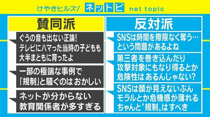 SNS利用の危険性は「解決しなくて良いのでは？」 ツイートめぐり賛否両論 3枚目