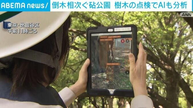 東京・世田谷区