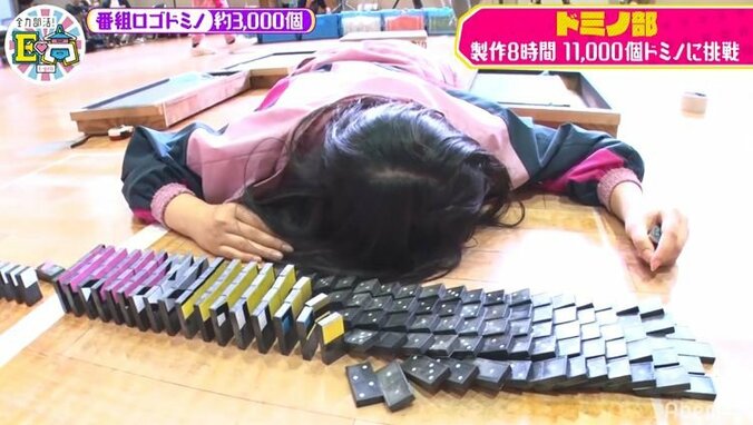 E-girls、製作8時間11,000個ドミノに挑戦するも失敗だらけで絶叫！「やれる気がしない」 14枚目