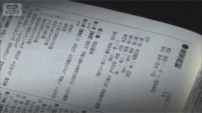 「皇室典範には欠陥があると言わざるを得ない」元宮内庁長官が語る皇室と政治と民主主義　“国民の理解”得るためには 3枚目