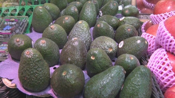 メキシコでアボカド大豊作　1年前より3割安、1個100円も　スーパーでは完売も 1枚目