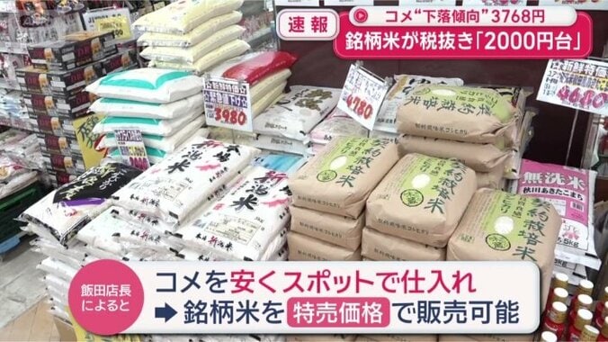 安くスポットで仕入れ