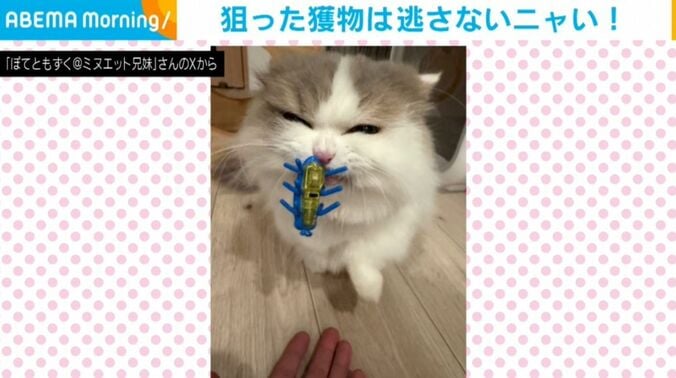 ぽてとくん