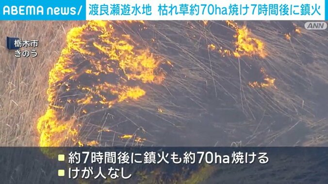 燃えるヨシの枯れ草