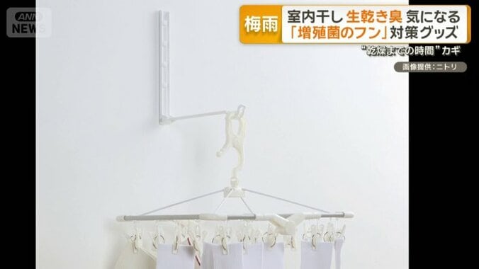 壁用物干ハンガー