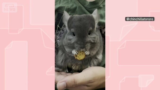 おやつを食べる