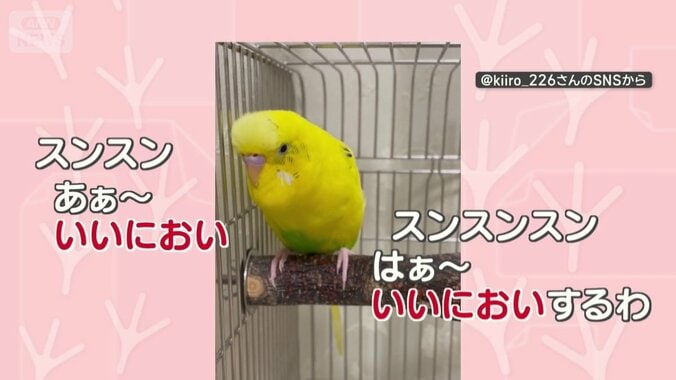 「いいにおい～」を連呼！
