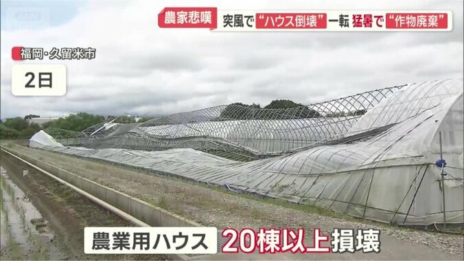 福岡県久留米市