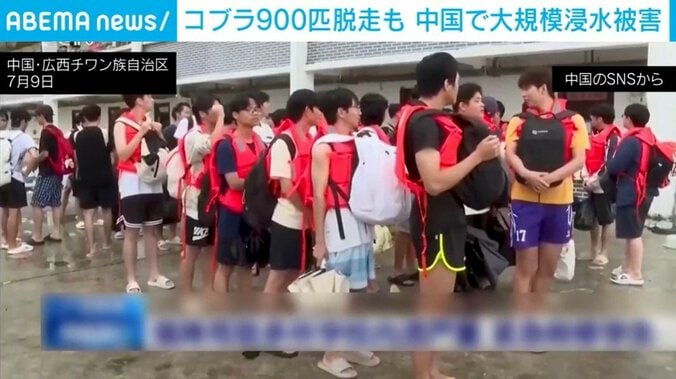 中国
