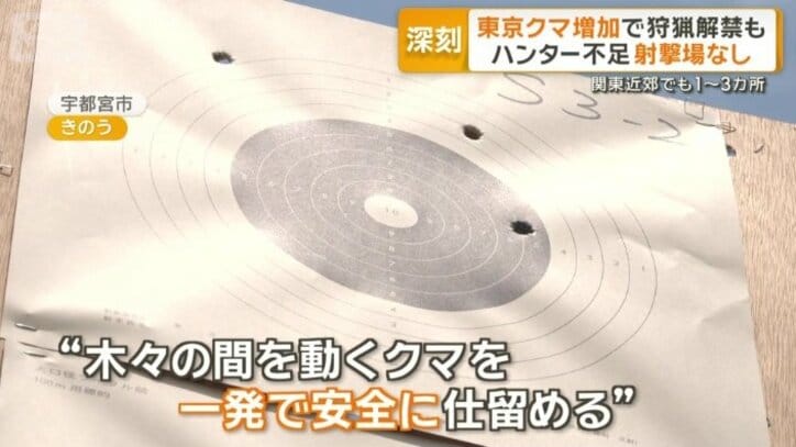 一発で安全にしとめるには
