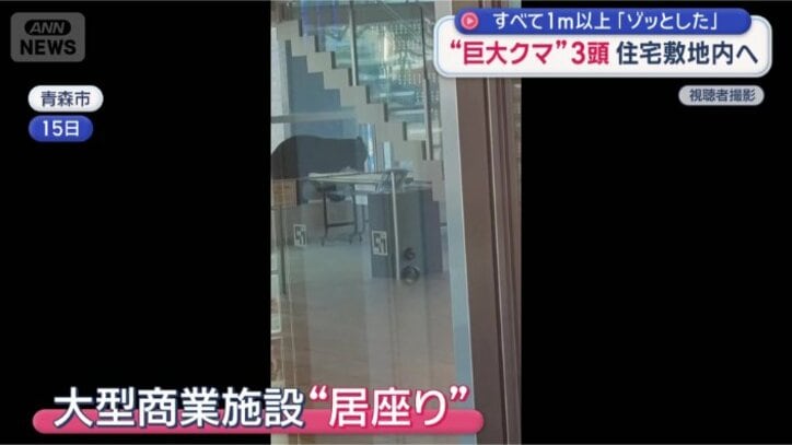 青森市