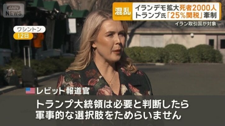 アメリカ　レビット報道官