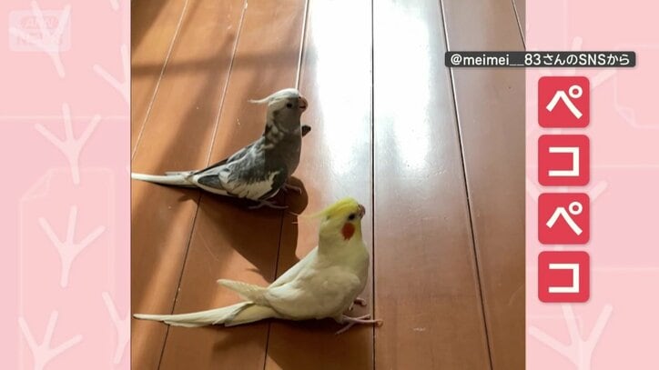 同じタイミングで…