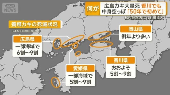 養殖カキの死滅状況