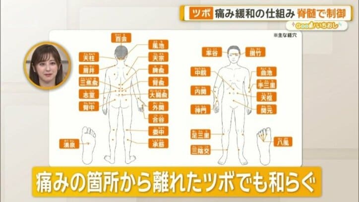 痛みの箇所から離れたツボでも和らぐ