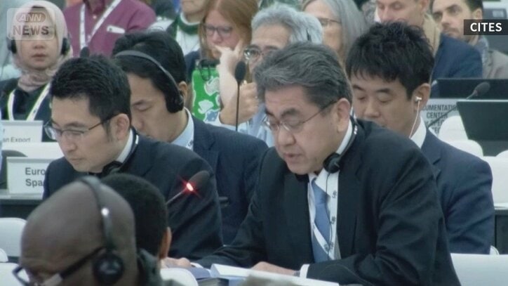 ウナギ取引規制に反対する日本代表団