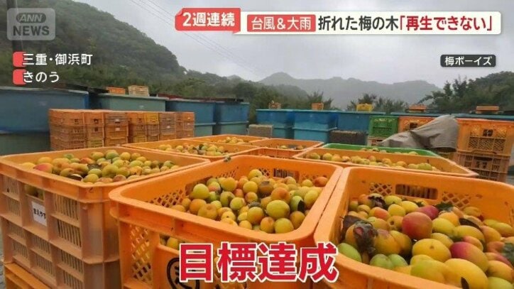 目標の100ケースを達成