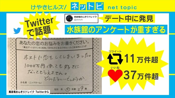 「ホストに1000万使っても好きになってもらえない」恋愛相談への水族館スタッフの回答が話題「返しが神」