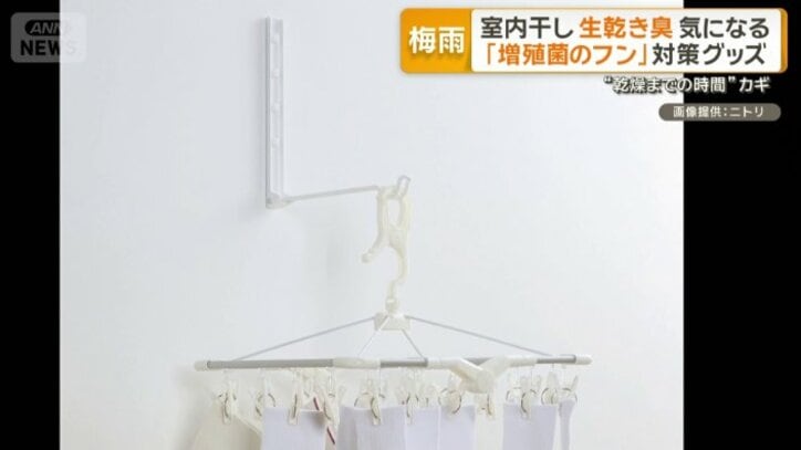 壁用物干ハンガー
