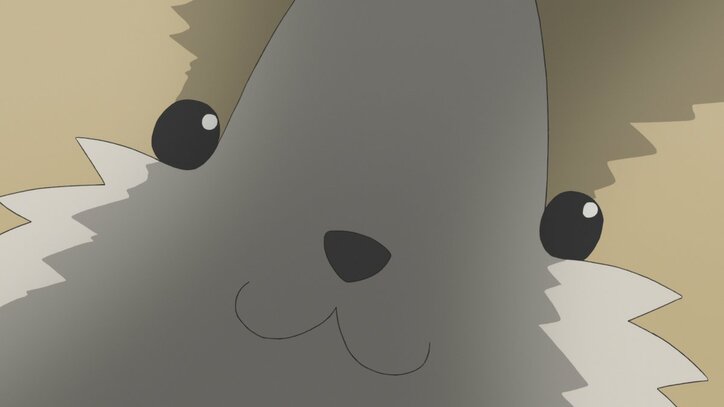 アニメ「旗揚！けものみち」第5話、家に残ってペットの世話をしたい？ 先行カット解禁