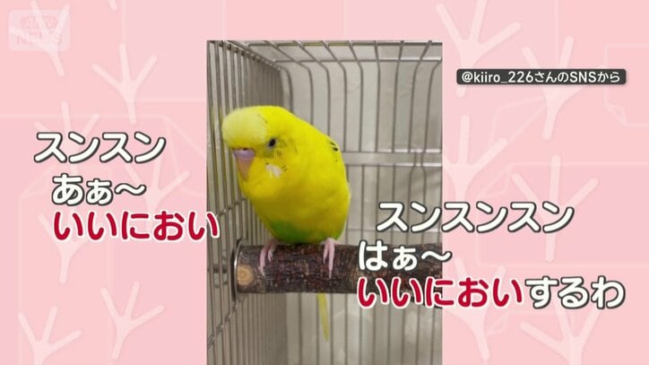 「いいにおい～」を連呼！