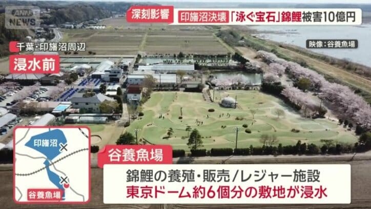 浸水前の谷養魚場