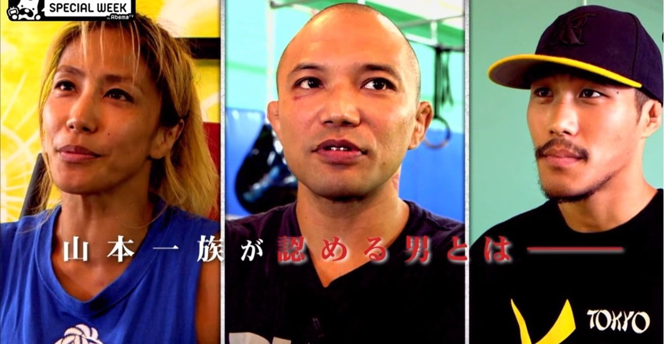 値下 入手難 山本