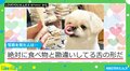 新しいおもちゃを前にした犬 「絶対食べ物と勘違いしてる」珍しい形の“舌なめずり”が話題
