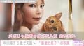 中川翔子、5歳で天国へと旅立った愛猫との写真公開「名前を呼ぶだけで泣いてしまう」