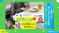 ネコVSカレーを食べたい主人