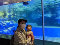 チェリー吉武『アクアチェリューウム』