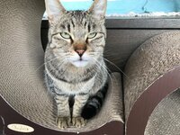 坂上忍『独り言』