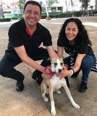 北斗晶『この人を探したい』